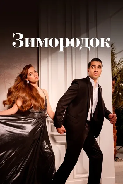 Постер Зимородок